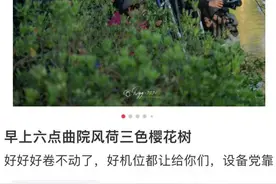 为拍樱花，“隔壁”有人晚上10点去西湖占机位！最美樱花风景本周末要来了，你的机位找好了吗图片