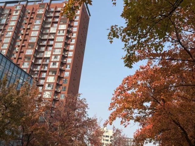 风光正好！来天门邂逅冬日暖阳