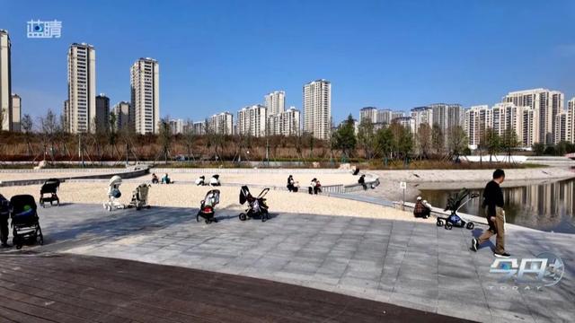 青岛这个公园你去过吗？藏着一个厉害之处……