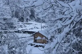 散文‖小雪忆故乡图片