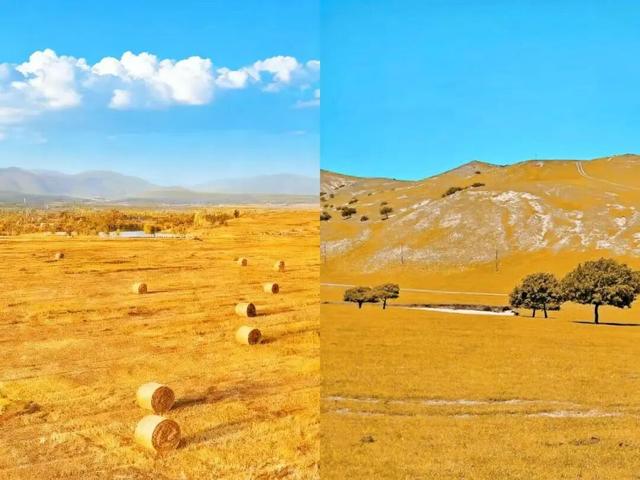 呼和如此hot！跟着蒙超去旅行，草原双城对决太上头了