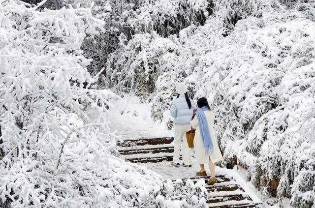冷空气预警！鹅毛大雪即将突袭瓦屋山！
