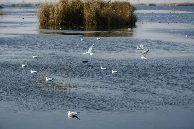 这个旅游打卡地因高铁开通“出圈”