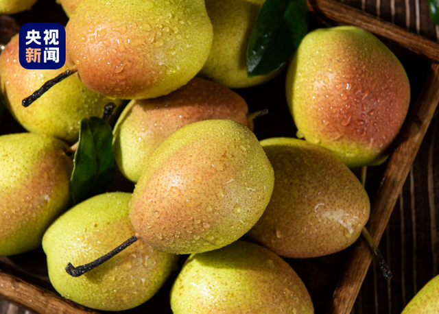 通了！穿越天山 此生必驾