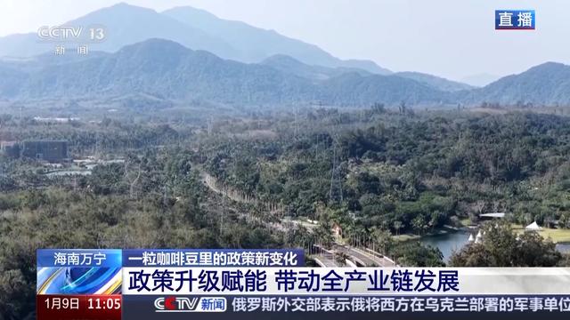 “十五五”开好局 起好步丨“咖啡+”文化体验地 从一粒咖啡豆看政策新变化