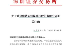 年报疑云重重，紫天科技又被监管“包围”了图片