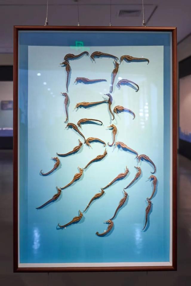 舟山这里也太好逛了，果断安排！接下来还有……