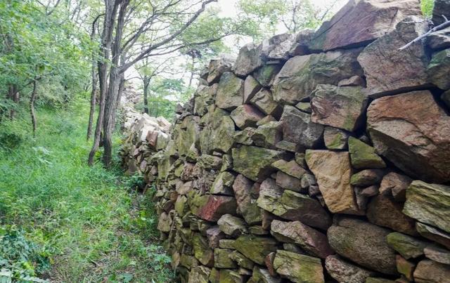 圆满收官！肥城这波 “山野快乐” 直接拉满~