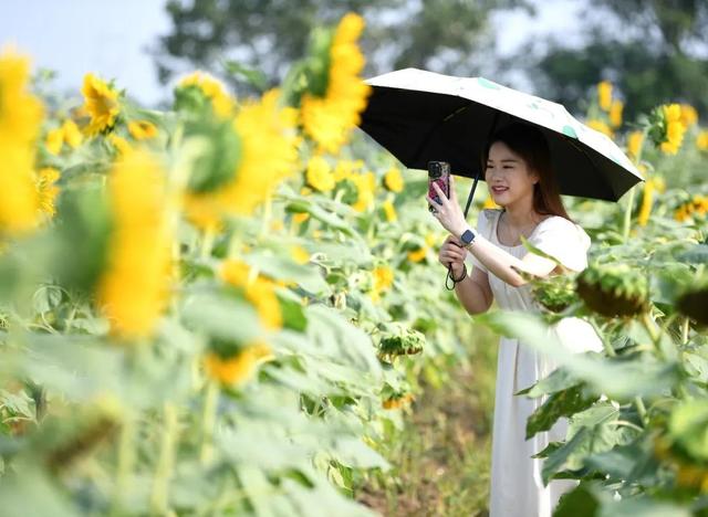 惊艳！就在巢湖中垾！太美了