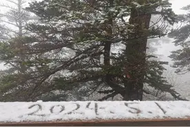 “五一”假期第一天 四川多地下雪啦！这些景区门票已售磬图片