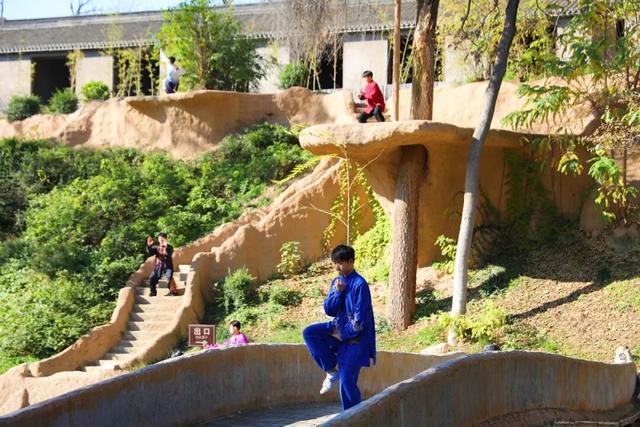 温县，一韵冬色，尽藏美好！