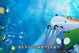新知｜万米深海的海参长啥样？跟“奋斗者”探索神秘的海底世界图片