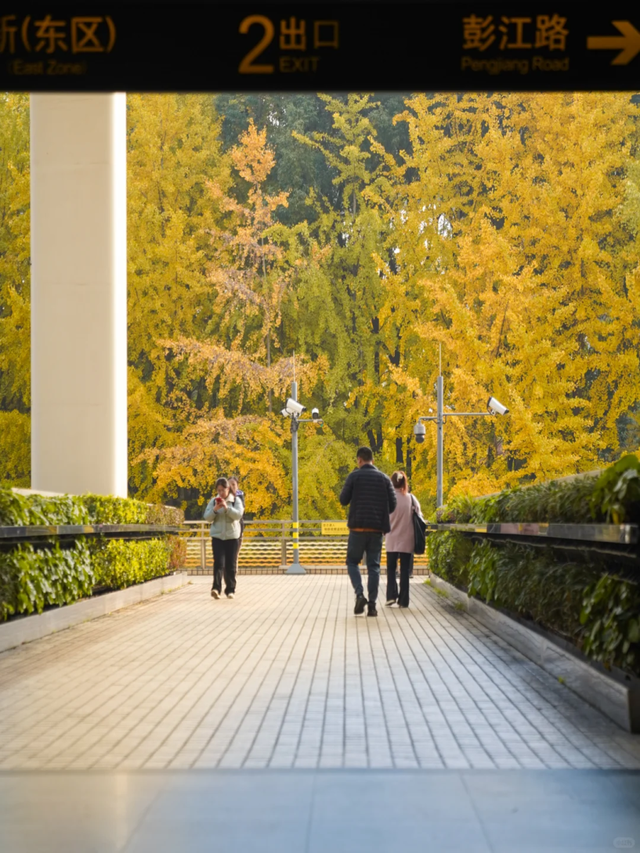 出站即是大片！上海秋日最美地铁站已上线→