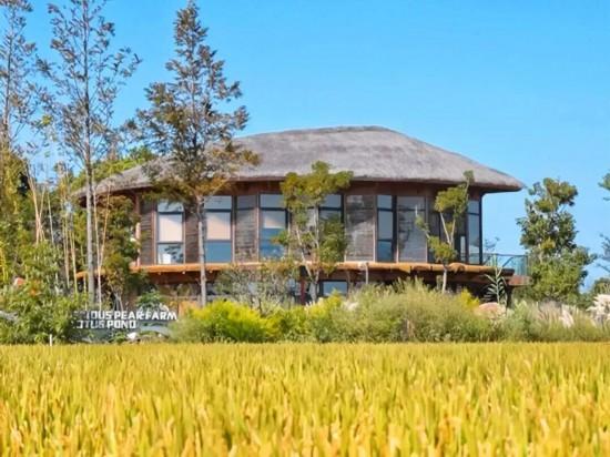 人在画中游！来上海郊野，骑进自然乡野秋韵里