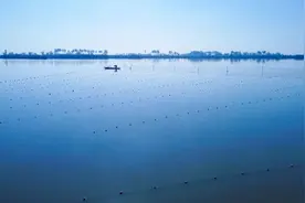 组图｜万亩鱼塘迎来起鱼季图片