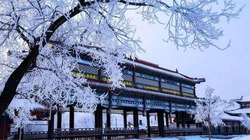 水旅融合看过来 “木斯”夏日这么玩 湿地稻浪·水韵巡踪旅游线路