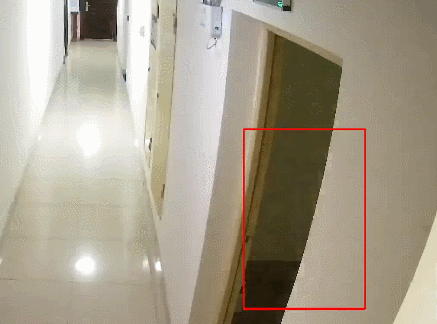 屡教不改！车主被罚500元