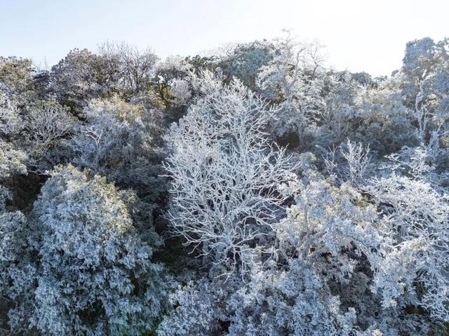 多地下雪！广西限定版“冰雪世界”已上线