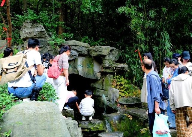 从云端到山野，济南这两地入选省级案例！你打卡过吗？