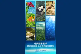 和谐共生丨守护蓝色星球 习近平倡导人与自然和谐共生图片