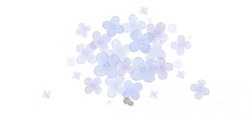 繁花似锦 | 邛海紫薇花开缀满枝头,百日浪漫尽在眼前