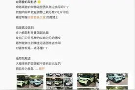 博主发文称被极氪副总裁盗图恶意P走水印，杨学良道歉：我教育规范他们一下图片