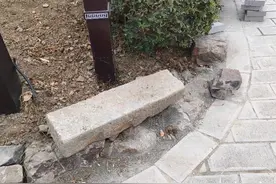 合肥包河公园改造发现多处怪石，疑为庐州古城墙遗留构建 不远处还有“巨石阵”图片