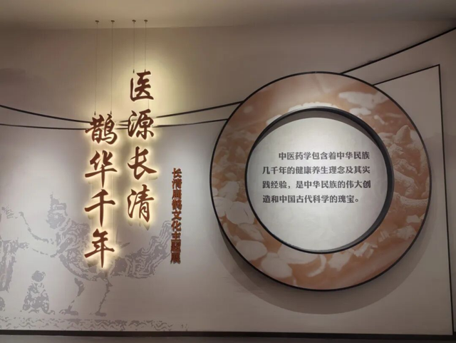 一城药香传古今，“扁鹊故里”有什么？