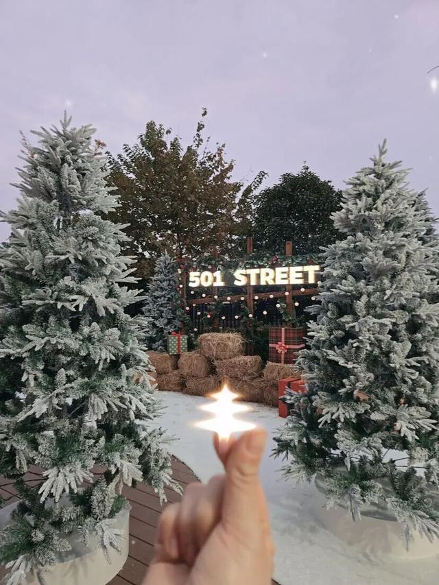 雪屋+萌宠+飘雪！宝山暖冬玩法太绝了~