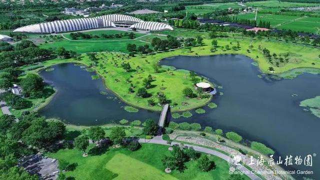 进博逛展意犹未尽？“上海之根”松江这3条主题线路，每款都藏惊喜～～～