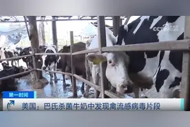 美国巴氏杀菌牛奶中发现禽流感病毒片段图片