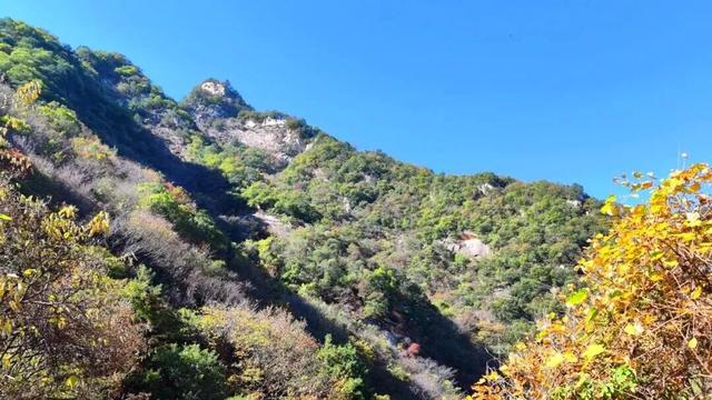 洛阳两家景区，推出门票互免政策！