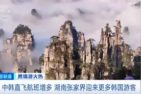冲上热搜！张家界山上“长满”韩国人！多家航空公司宣布：扩增航班！图片