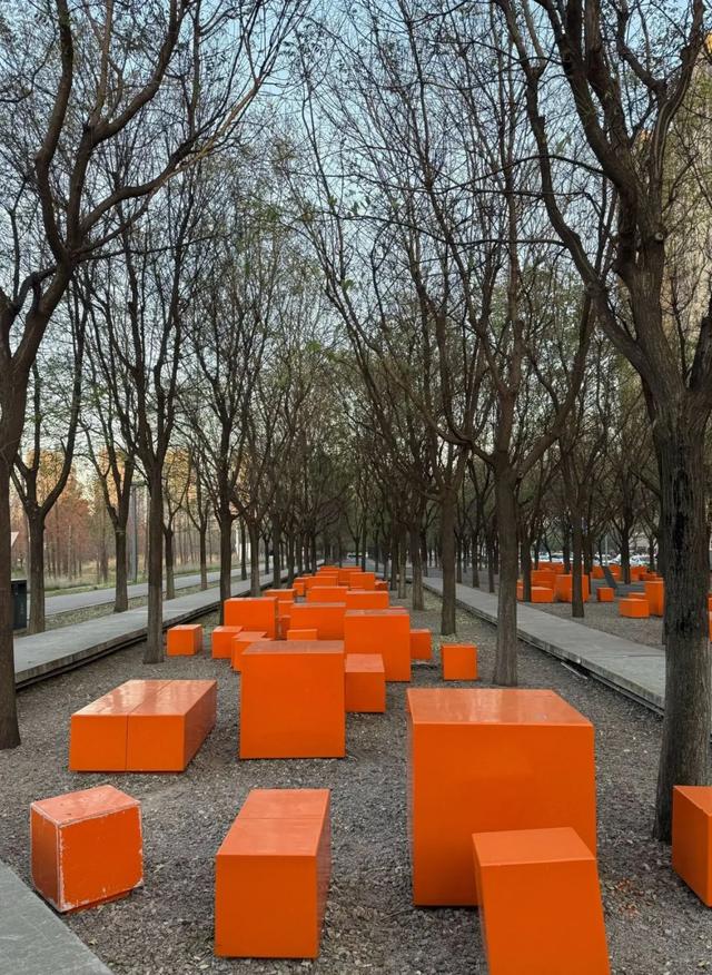 全部免费!西安4个冬日晒太阳好去处!