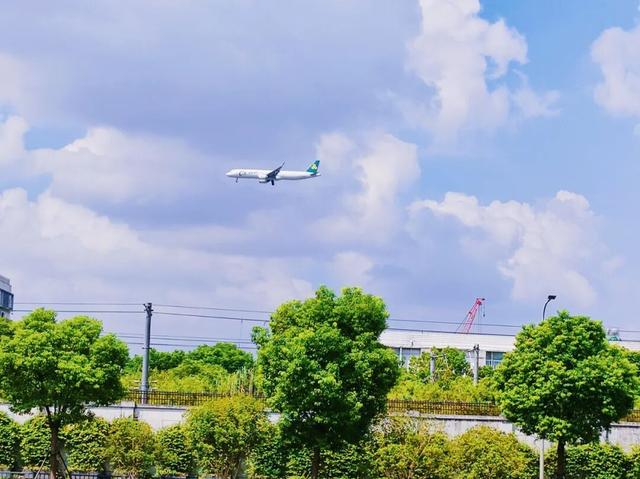 一路都是好风景！快来长宁这条绿道骑行、赏景吧～