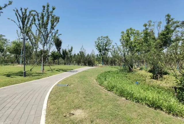 跨三区！嘉定再添24小时开放滨河综合公园！建成时间→