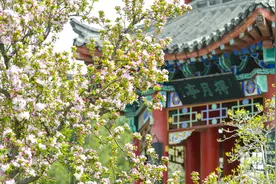 风雅历下｜海右诗会图片