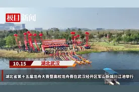 川江池上的“速度与激情”，湖北省第十五届龙舟大赛举行图片