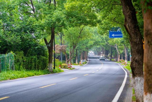 无锡这些农村公路，藏着最惬意的清凉