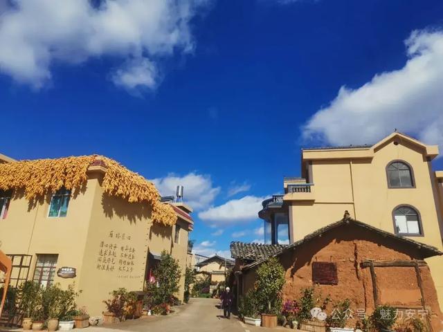 来安宁雁塔村,赏花巷、捏瓦猫!