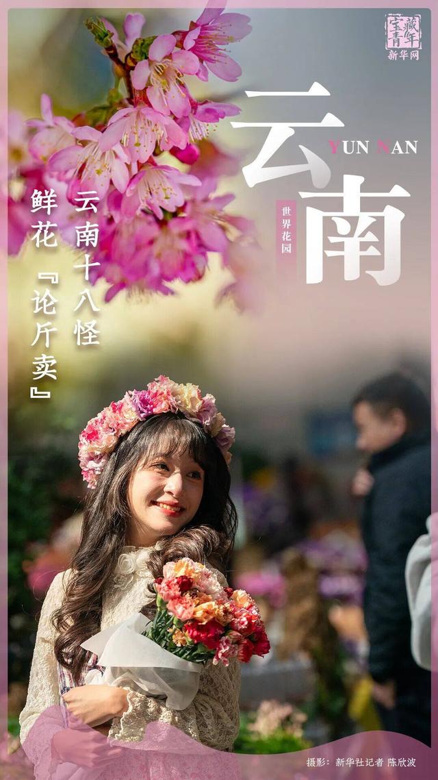 你好，云南！