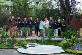 用技能点亮城央绿色空间，打开就业新空间图片
