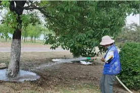 永城市日月湖景区：做好夏季绿化养护 提升群众幸福感图片