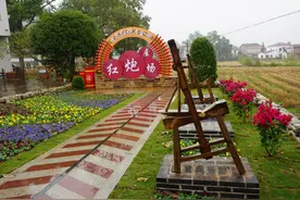 浏阳金刚镇：首次跻身浏阳财税收入“亿元乡镇”图片