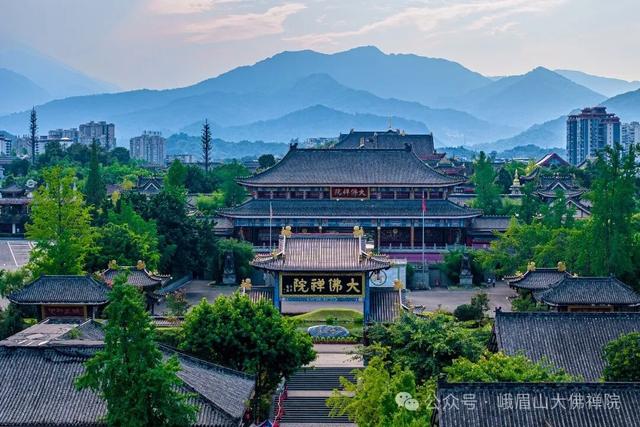 乐山这里的菊花即将迎来盛花期，足足有50多种，约吗？