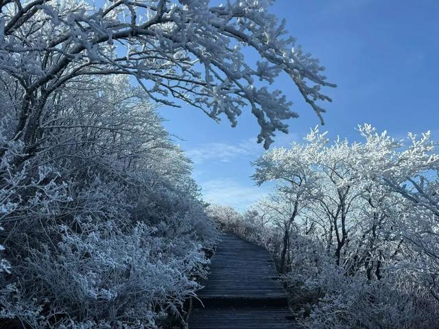 无烟花也璀璨！新年绿色亲子游，他们这么玩……