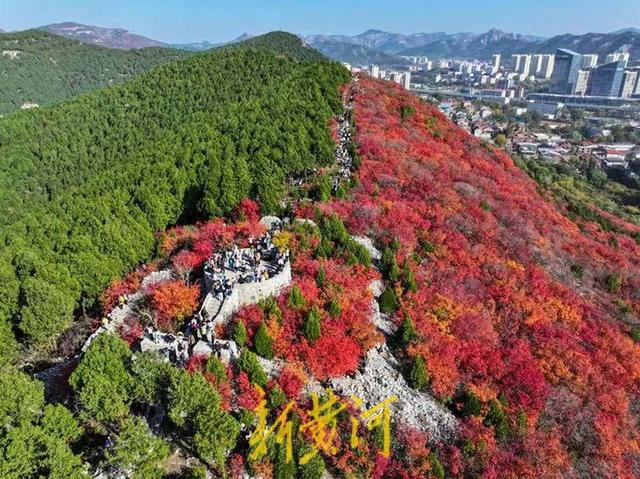半山苍翠半山红！济南“鸳鸯火锅”惊艳上线 | 新黄河AI音乐