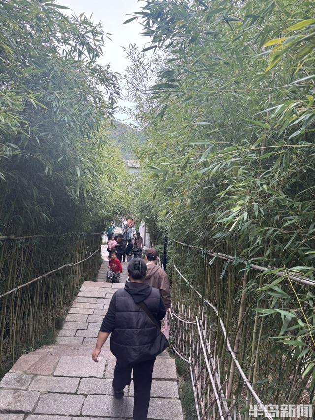 青岛竹子庵：金秋赏景正当时！