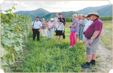 人民日报整版聚焦吉林通化：在“北国山城”品“东方波尔多”