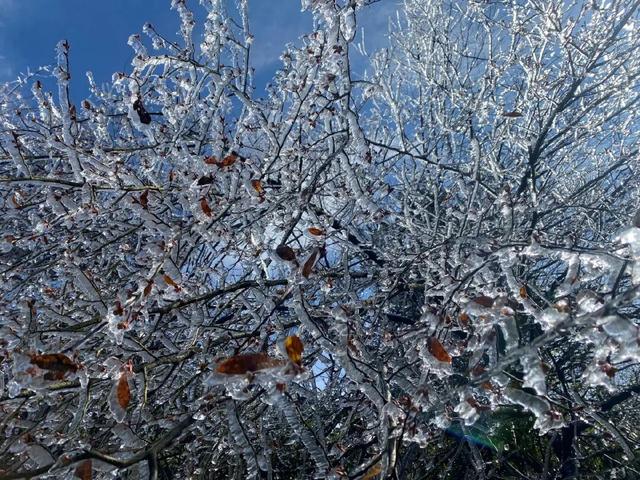 区县头条｜看！武陵山现冰挂美景